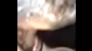 Acquiescent head